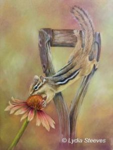 For Chipper Lovers - CP e-Packet